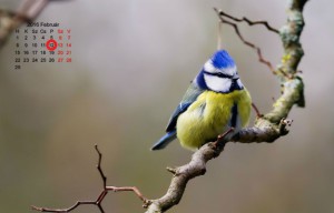 februar12_2016_625x400
