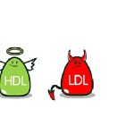 HDL_LDL