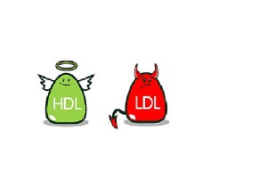 HDL_LDL