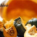 tok625x400_meghivo_pumpkin-2718710_1280