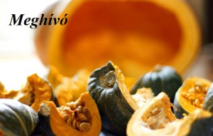 tok625x400_meghivo_pumpkin-2718710_1280